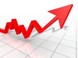 hedge fund