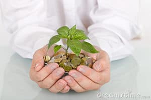 investment