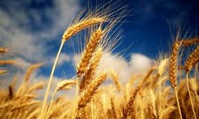 Advantages of investing in Commodities