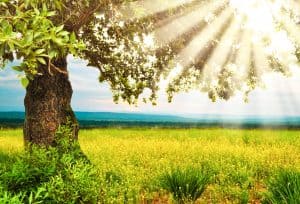 3 Ways to Save Money On Cooling Your Home In The Summer