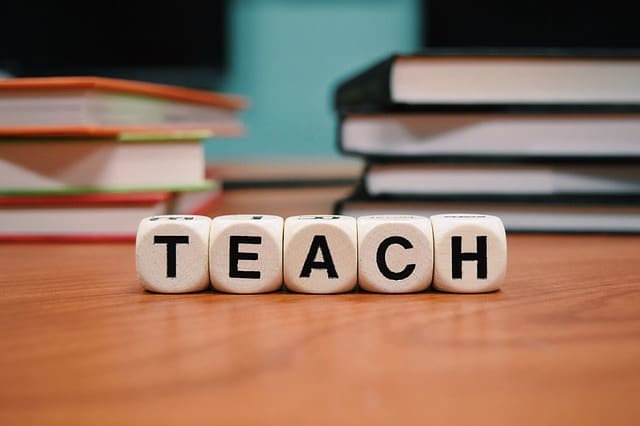 Teaching Assistant