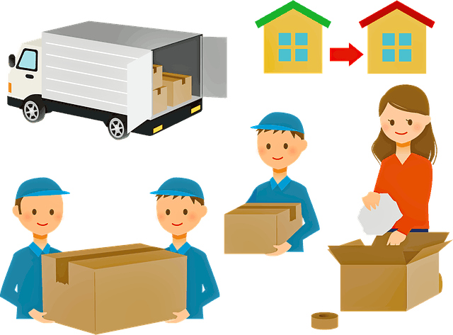 movers 