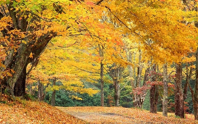 6 Tips for Those Managing Properties in Raleigh, North Carolina 