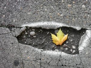 Potholes