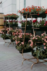 Garden Pots