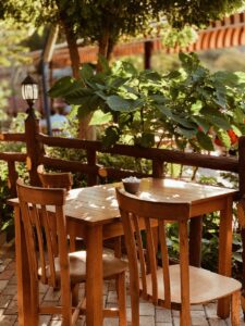 Timber Dining Chairs